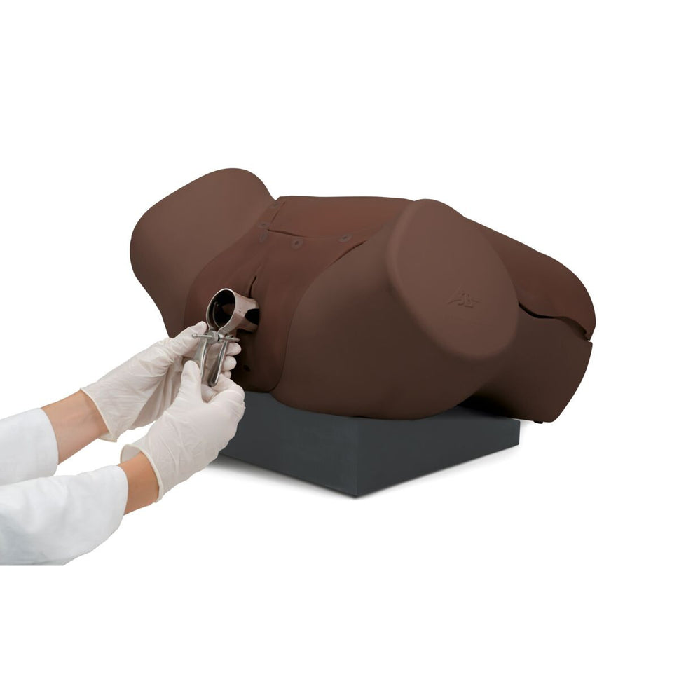 Gynaecological Skills Trainer