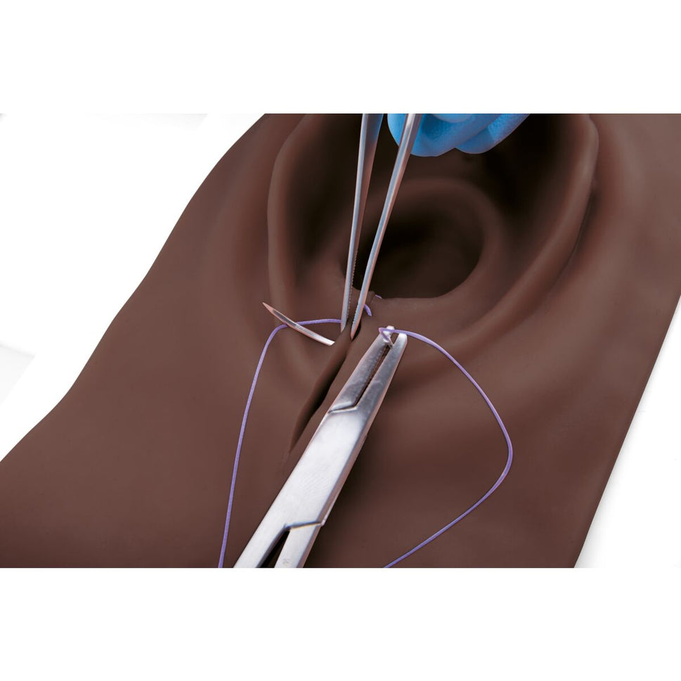 3B Episiotomy and Suturing Simulator