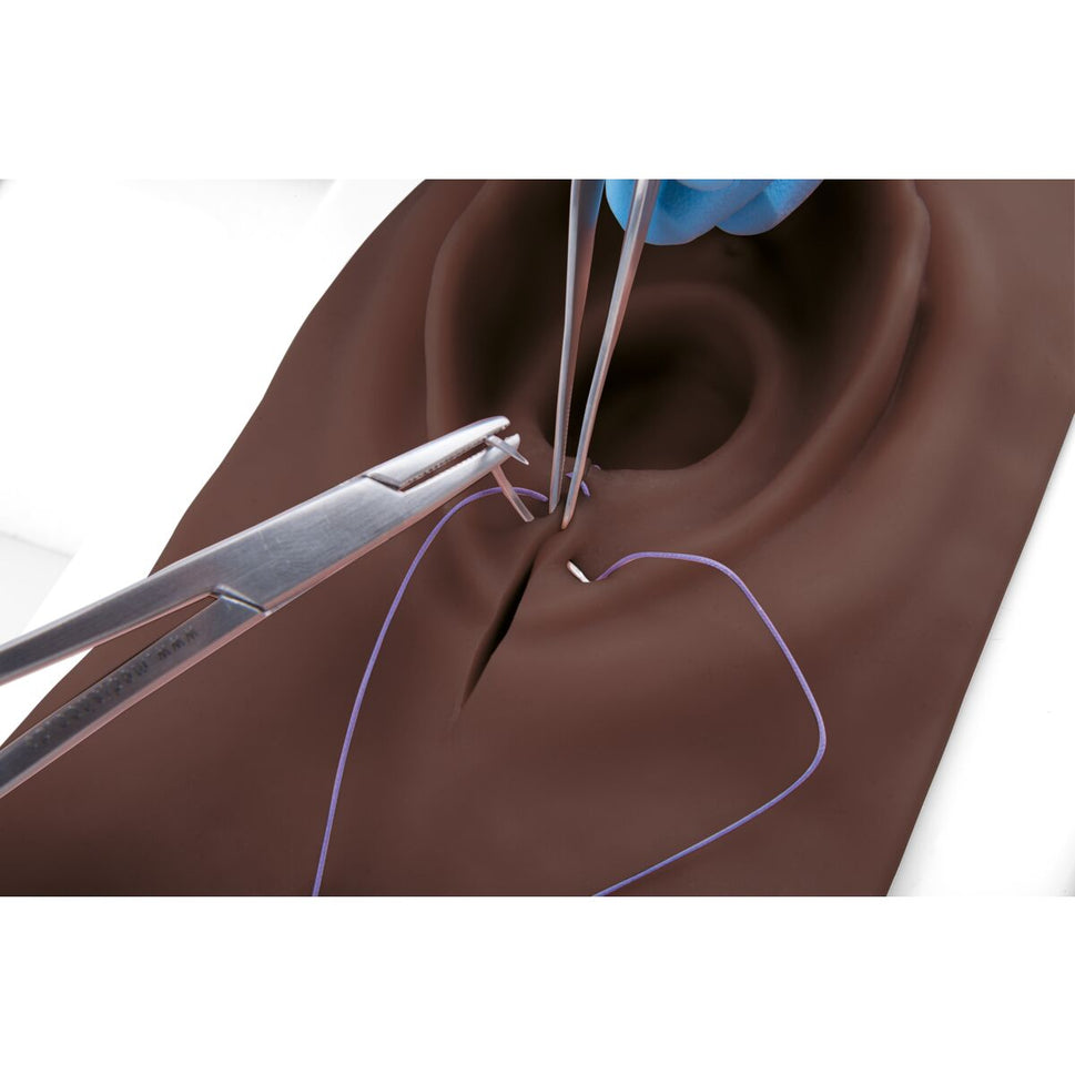 3B Episiotomy and Suturing Simulator