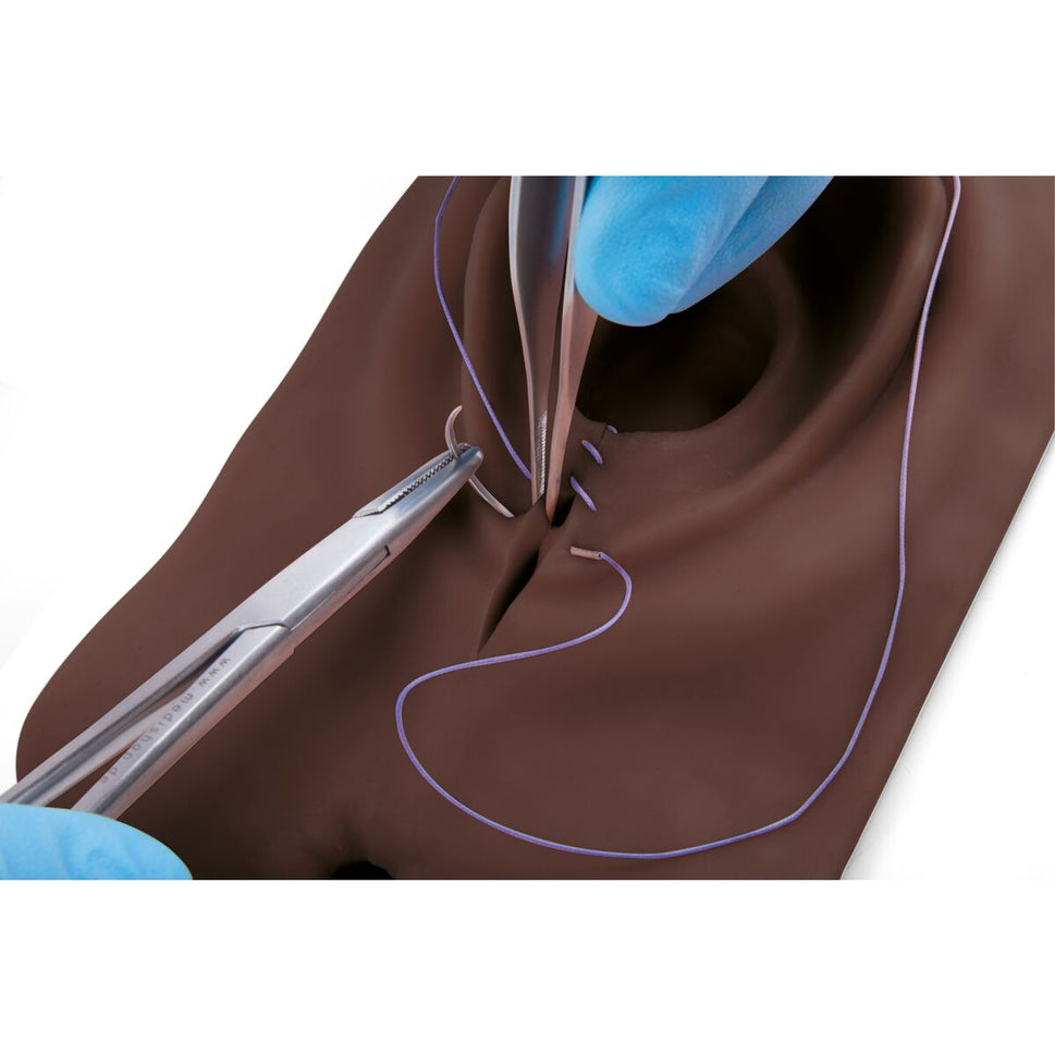 3B Episiotomy and Suturing Simulator