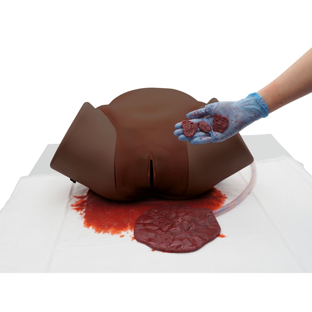 Postpartum Haemorrhage Simulator / PPH Trainer Pro