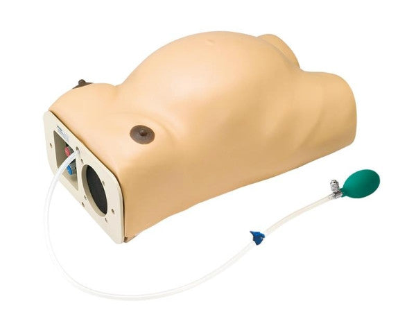 Pregnancy Examination Model with Heartbeat Simulation
