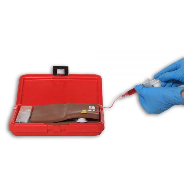 Port - "Body In A Box" Trainer