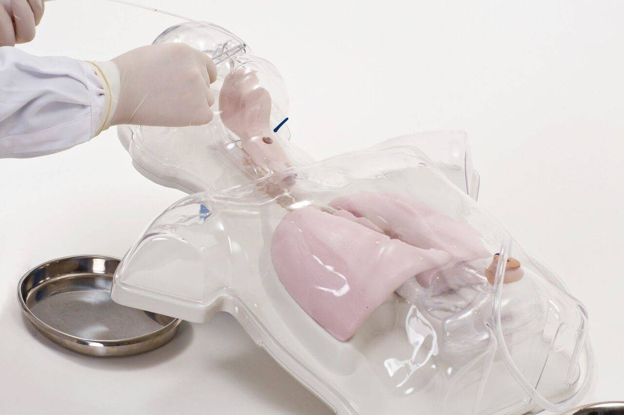 Paediatric Transparent Nasal Feeding and Gastric Lavage Model