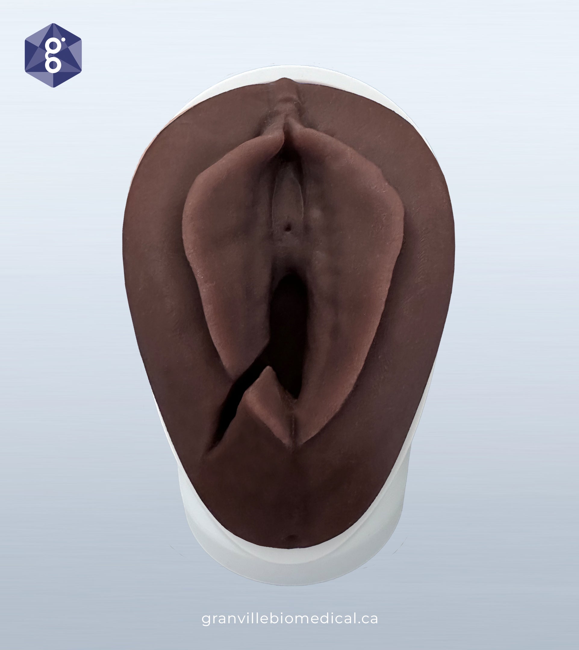 Maternal Health Suturing Skills Kit