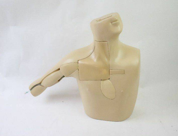 Peripherally Inserted Central Catheter (PICC) Ultrasound Training Model