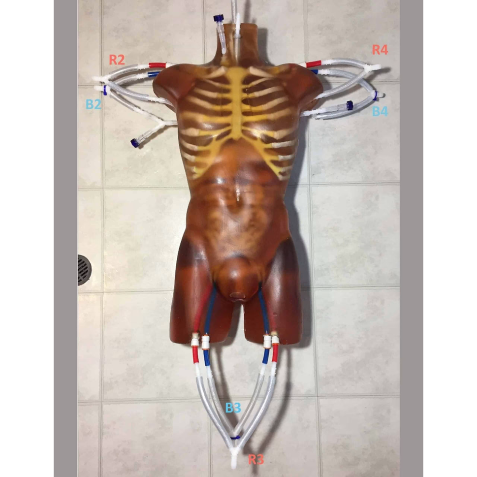 Adult Torso Phantom (Dynamic) for X-Ray CT, MRI