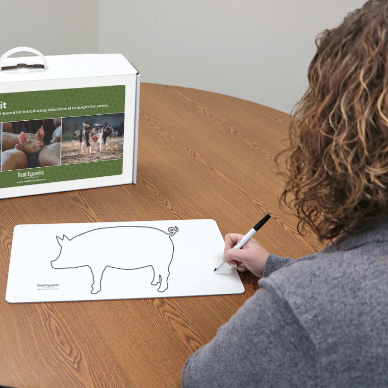 Agriculture Animal Education Kit - Swine