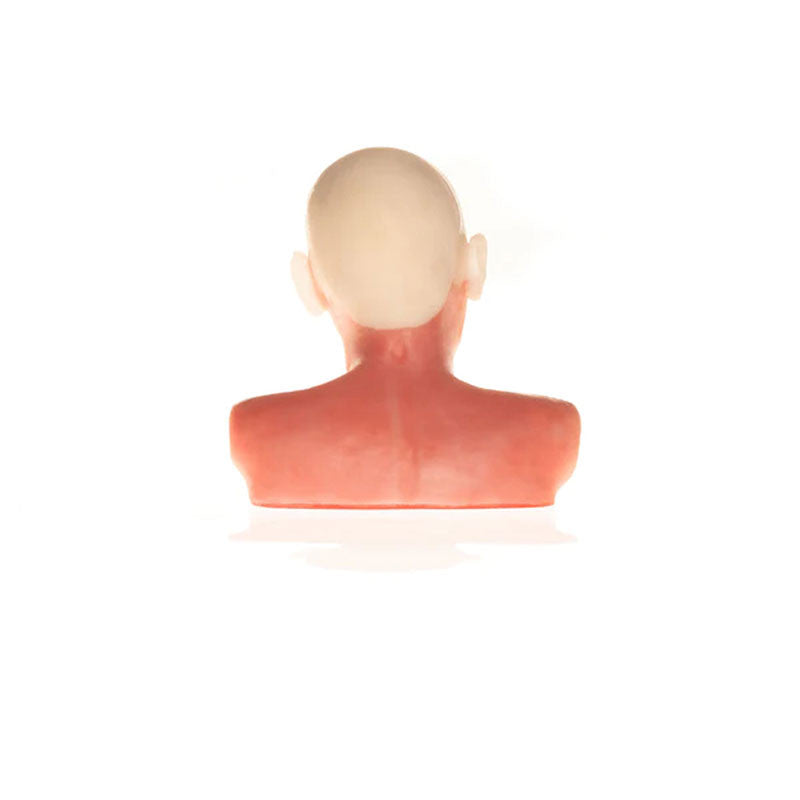 Diaphanous Zsa Zsa Cosmetic Filler Model