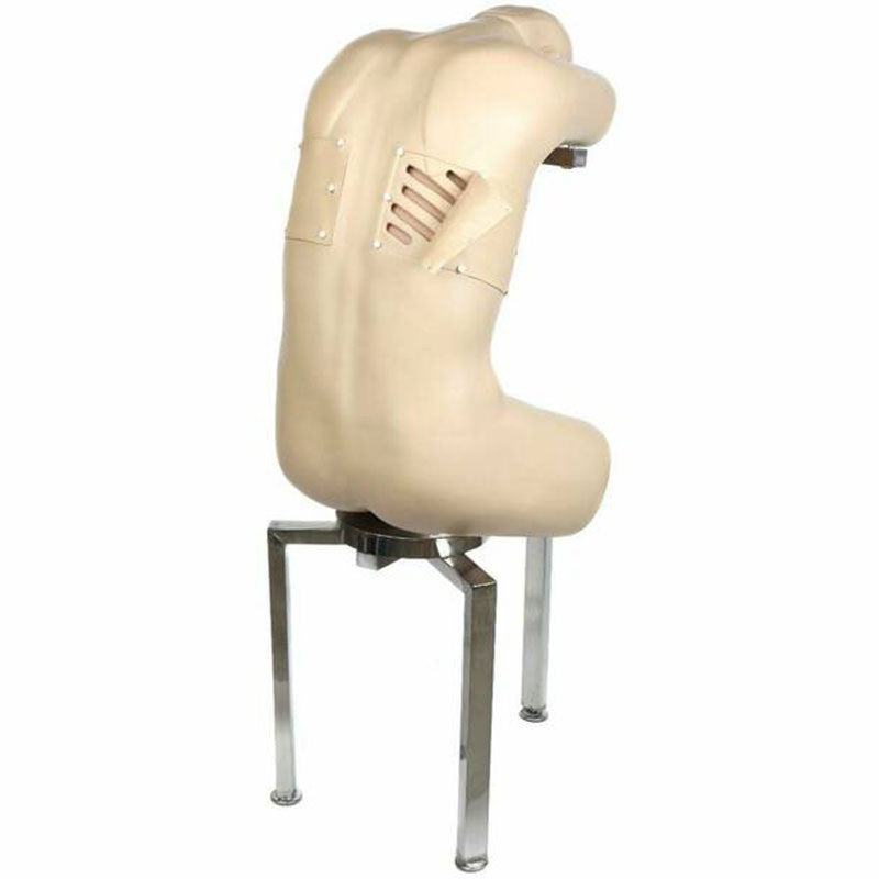 Thoracentesis Simulator Lateral Posterior View