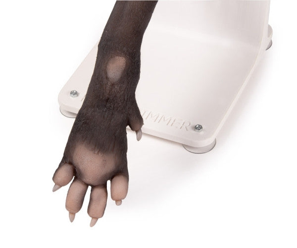 Canine Paw Bandage Trainer