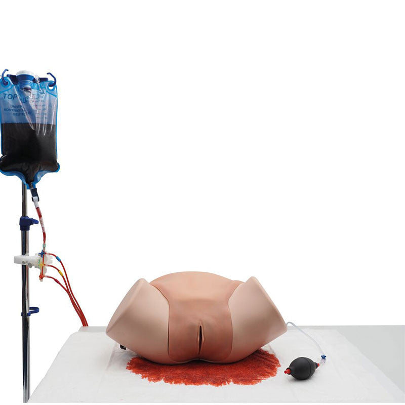 Postpartum Haemorrhage Simulator / PPH Trainer Pro