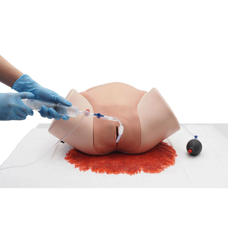 Postpartum Haemorrhage Simulator / PPH Trainer Pro