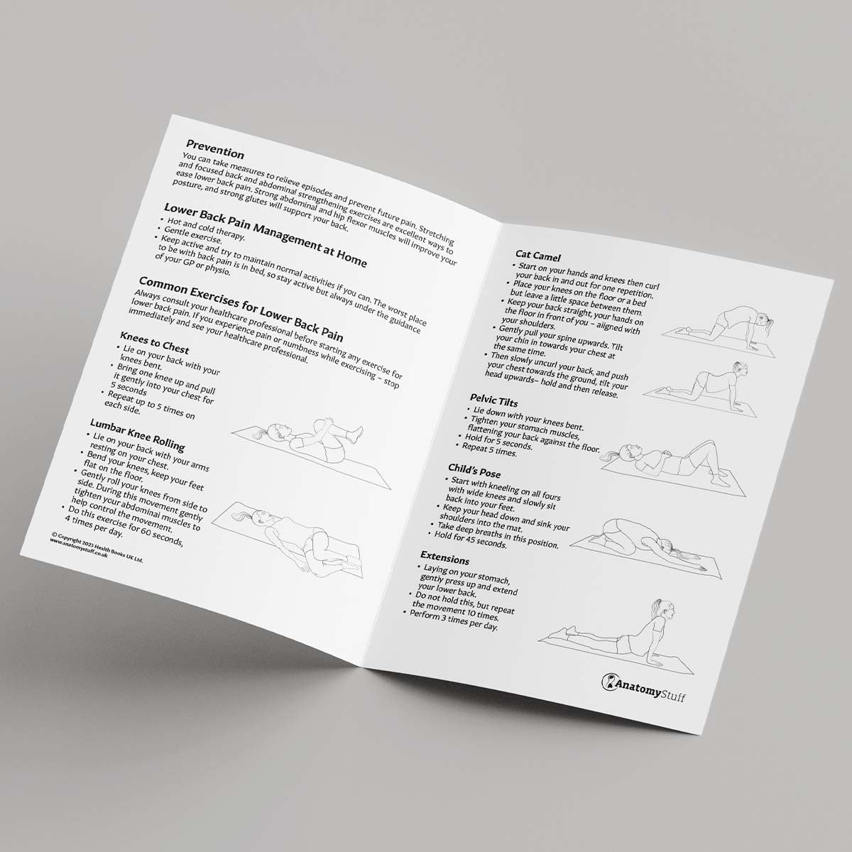 Your Guide To Lower Back Pain Leaflet (Printable PDF)