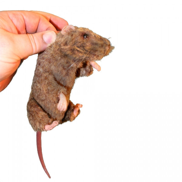 "Squeekums" Lab Rat Simulator