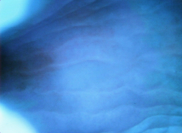 "Michael Angelo (Mikey) K9" Canine Endoscopy Simulator