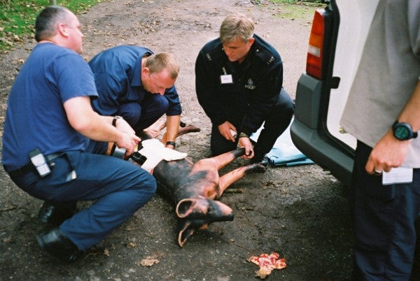 "Fetch" Search and Rescue Canine Simulator