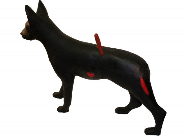 "Fetch" Search and Rescue Canine Simulator