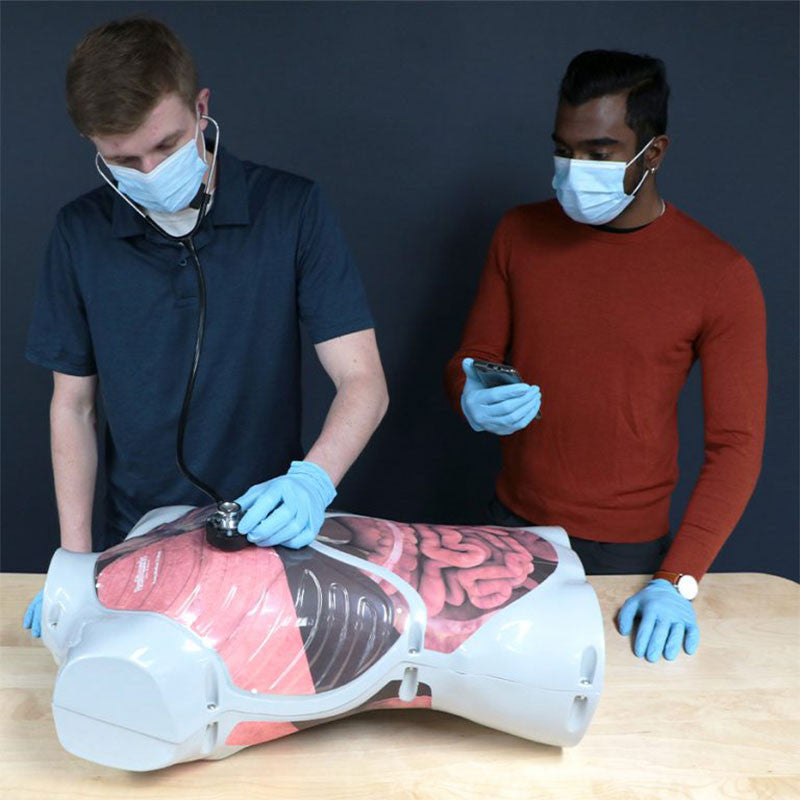 Auscultation Trainer