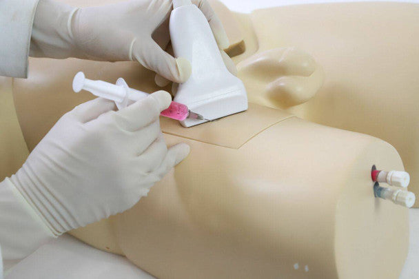 Femoral Arteriovenous Puncture and Abdominocentesis Ultrasound Training Model