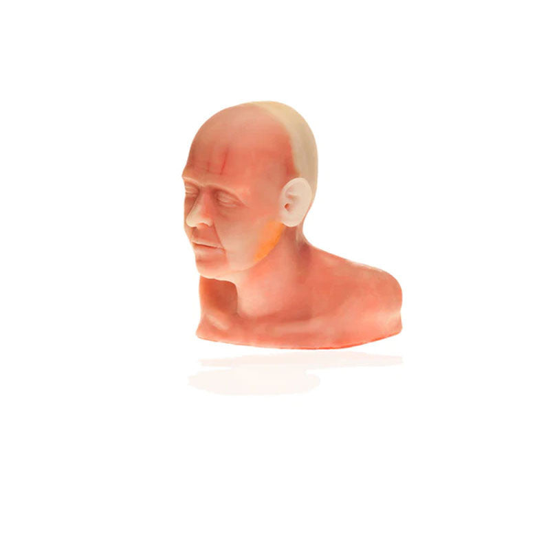 Diaphanous Zsa Zsa Cosmetic Filler Model