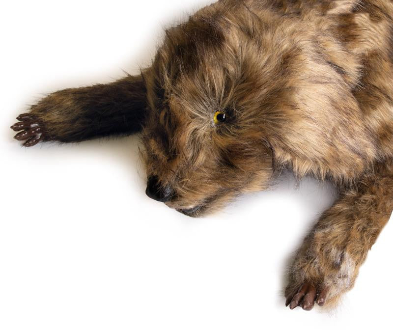 "Rocky" Canine Positioning Manikin