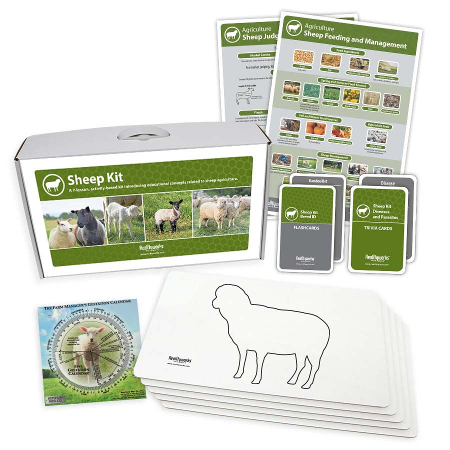Agriculture Animal Education Kit - Sheep