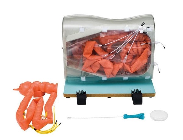 Optional Small Intestine Extensions for LM107