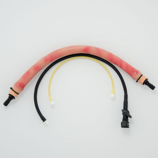 Replacement Vessels for Equine Simulator 1.0