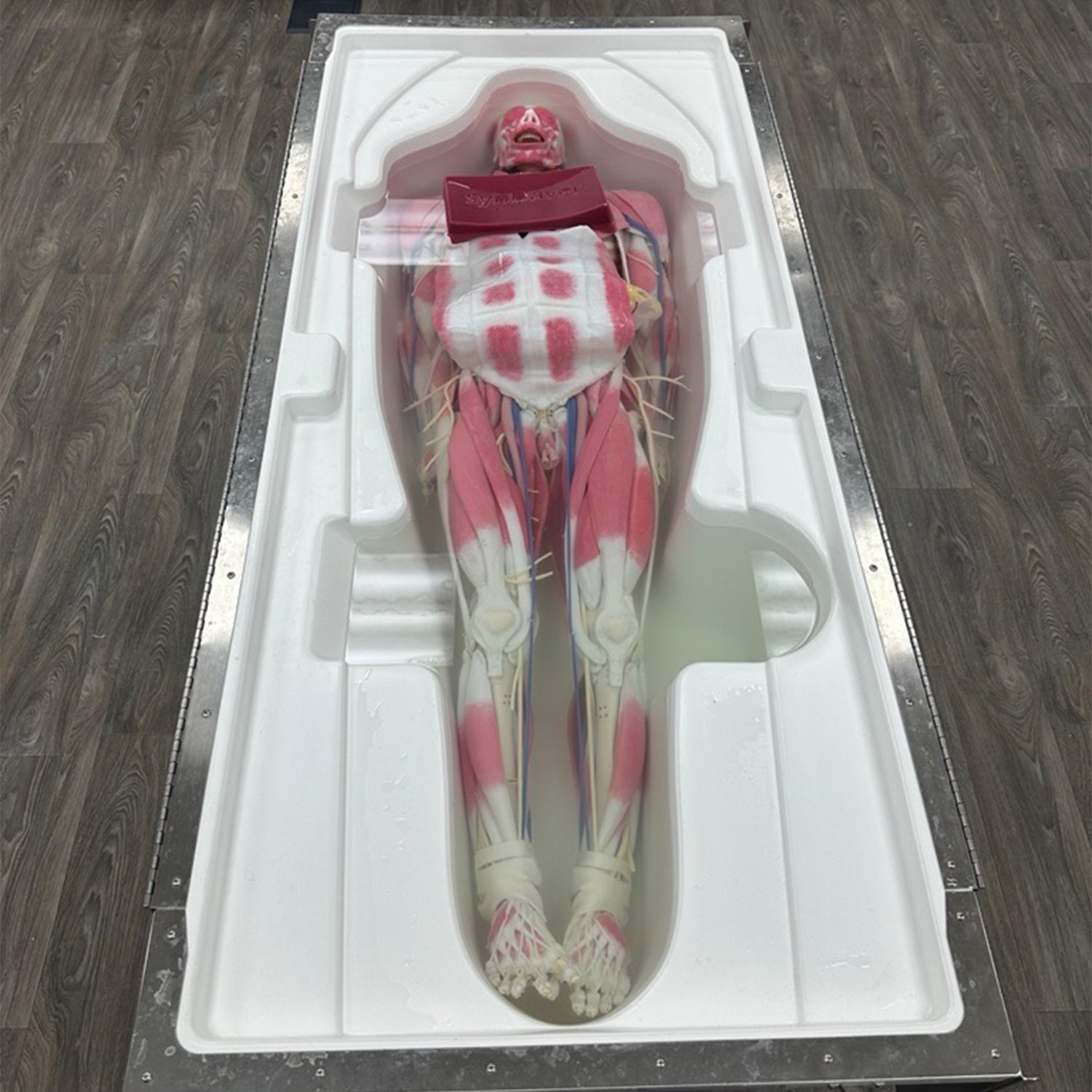 SynDaver IPA Approved Storage Tank