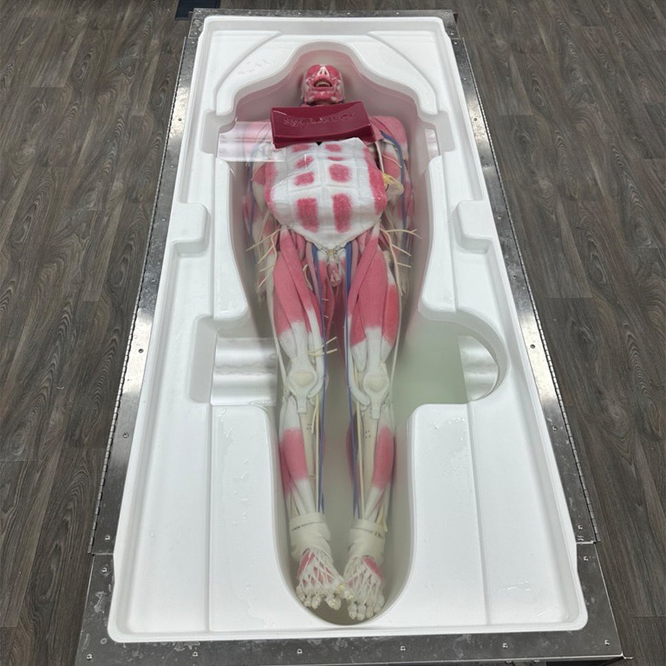 SynDaver IPA Approved Storage Tank