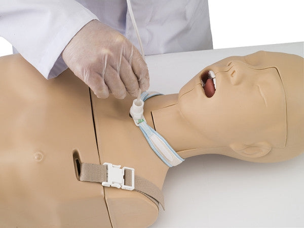 Tracheostomy on the Suction/Tube Feeding Model