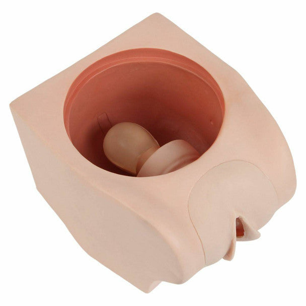 Female Contraception Trainer