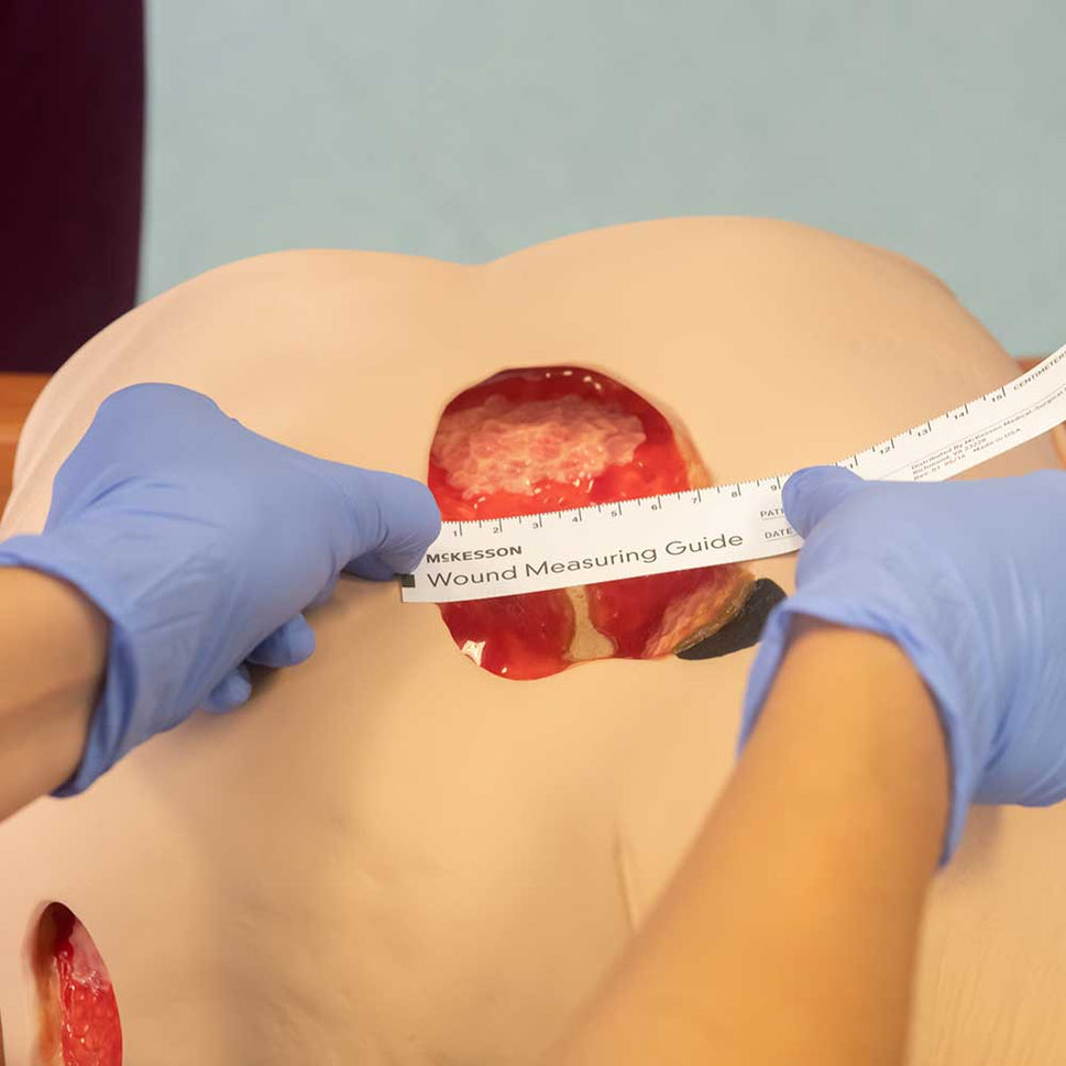 Seymour II Wound Care Simulator