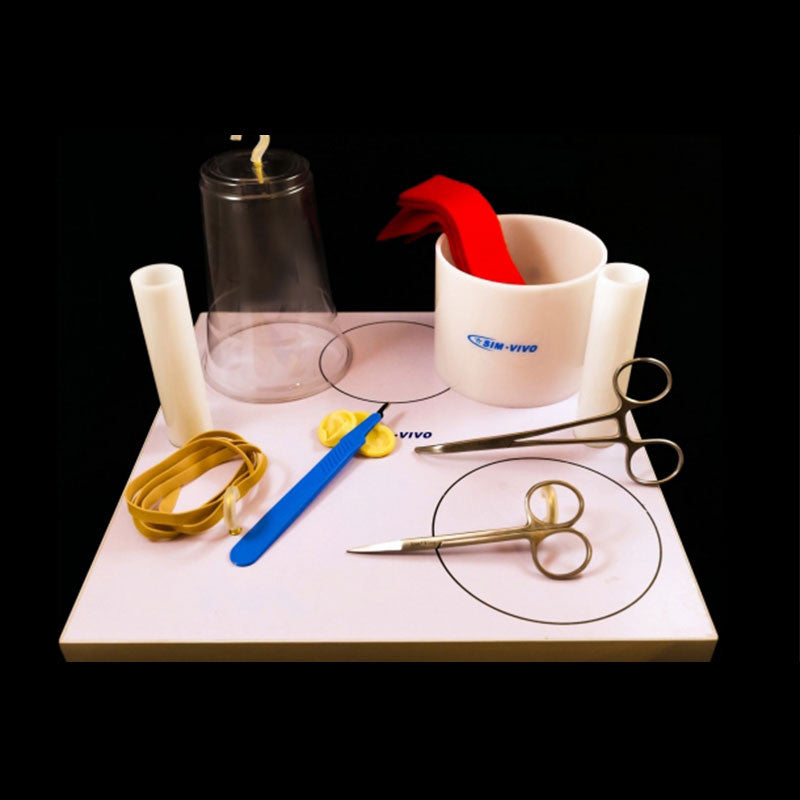 Sim*Tie Learning System