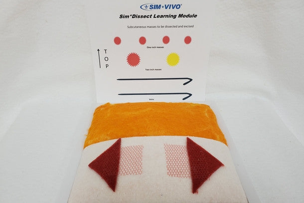 Sim*Dissection Training Kit