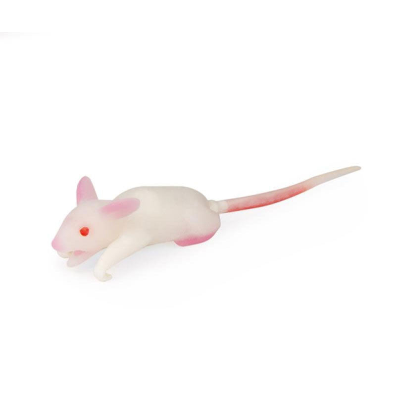 Mouse Simulation Model