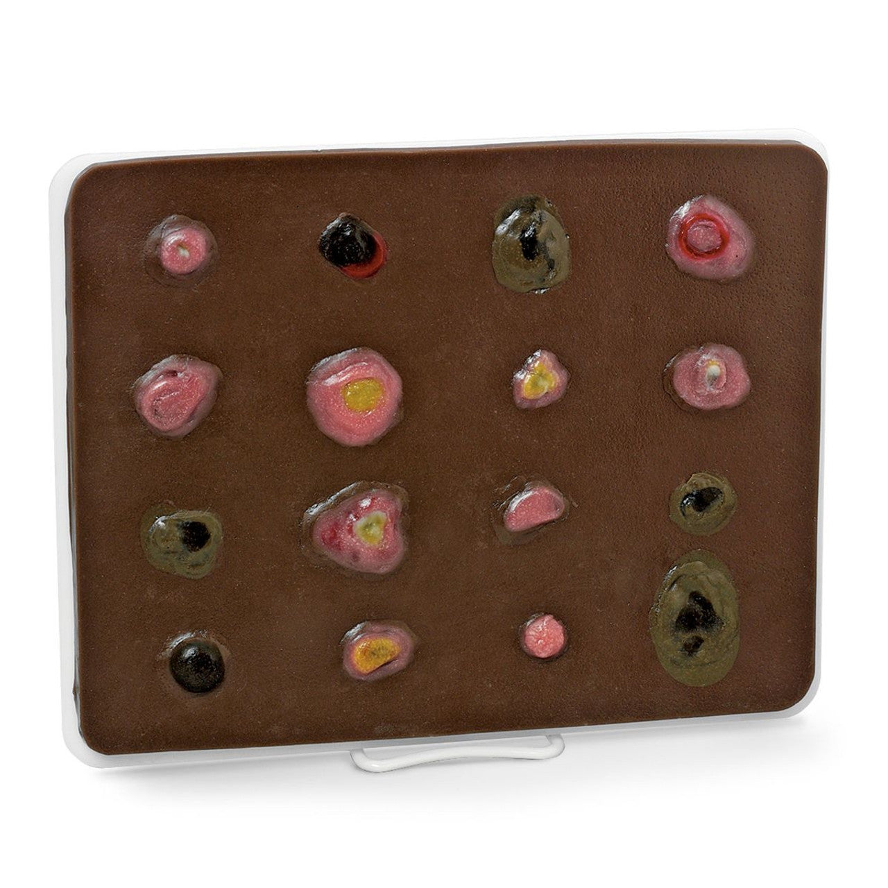 Skin Cancer Training Model