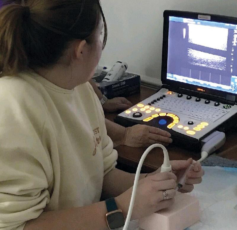 SonoEZ Ultrasound Trainer