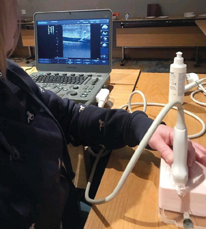 SonoEZ Ultrasound Trainer