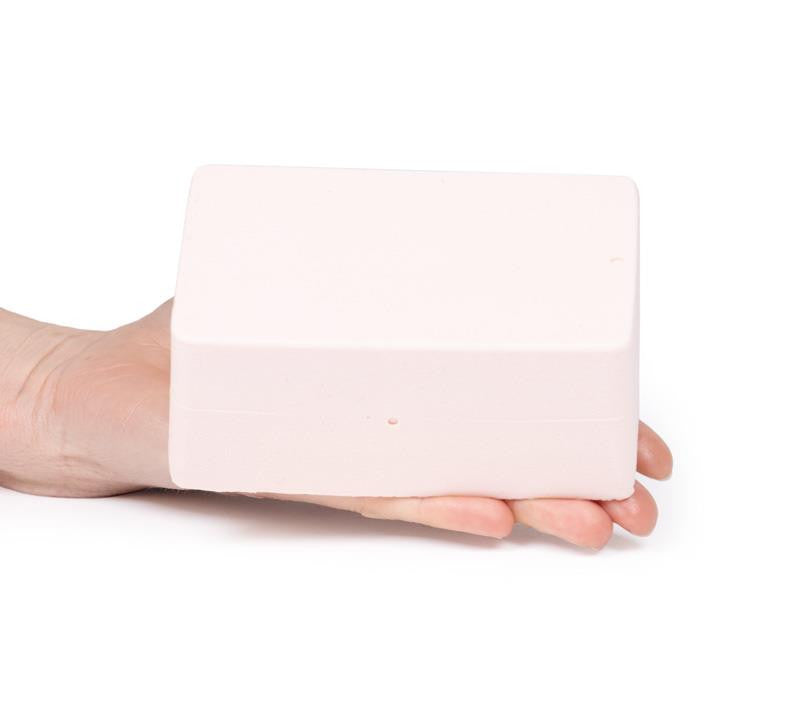 SonoEZ Ultrasound Trainer