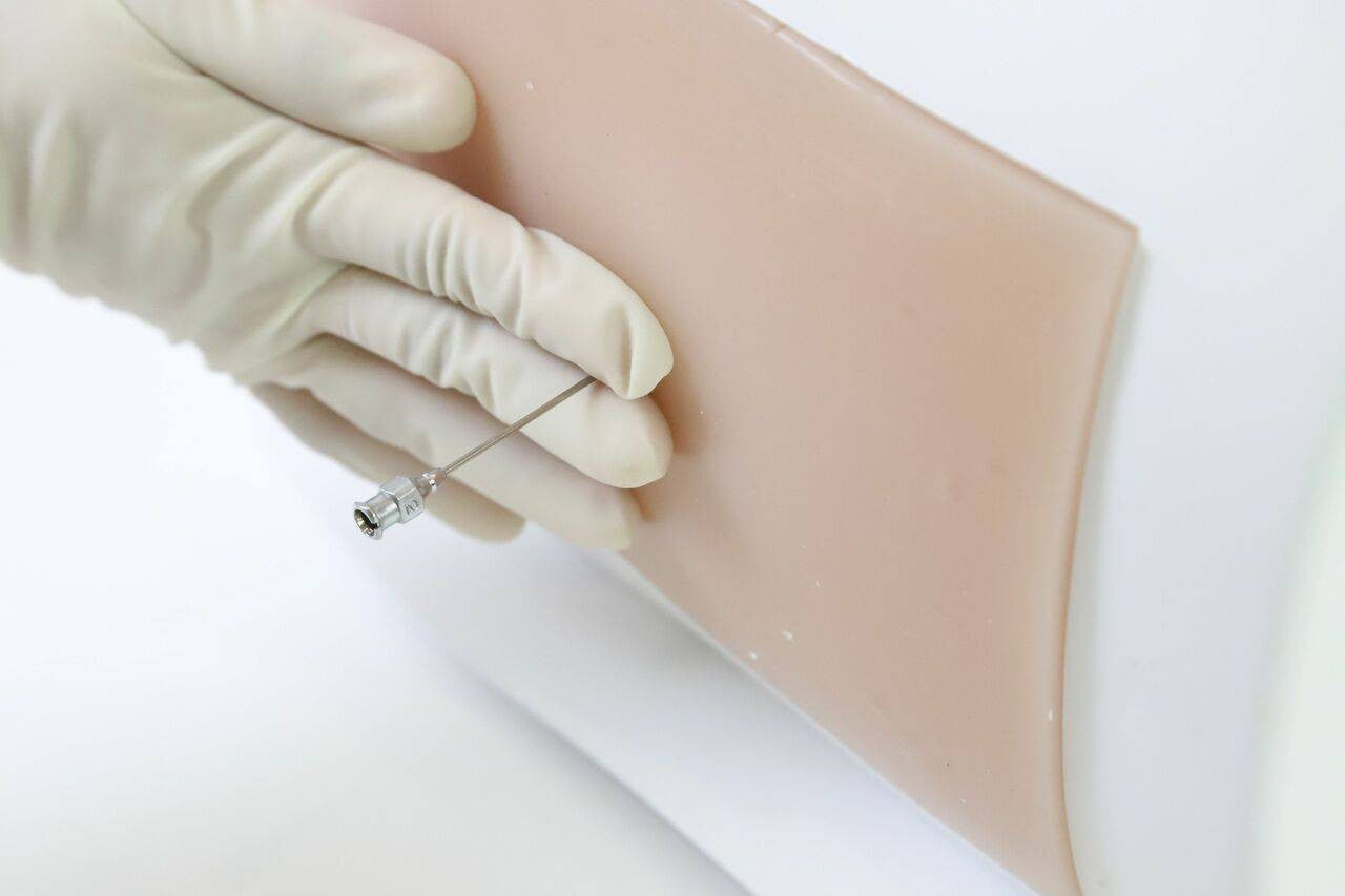 Adult Lumbar Puncture Ultrasound Training Model