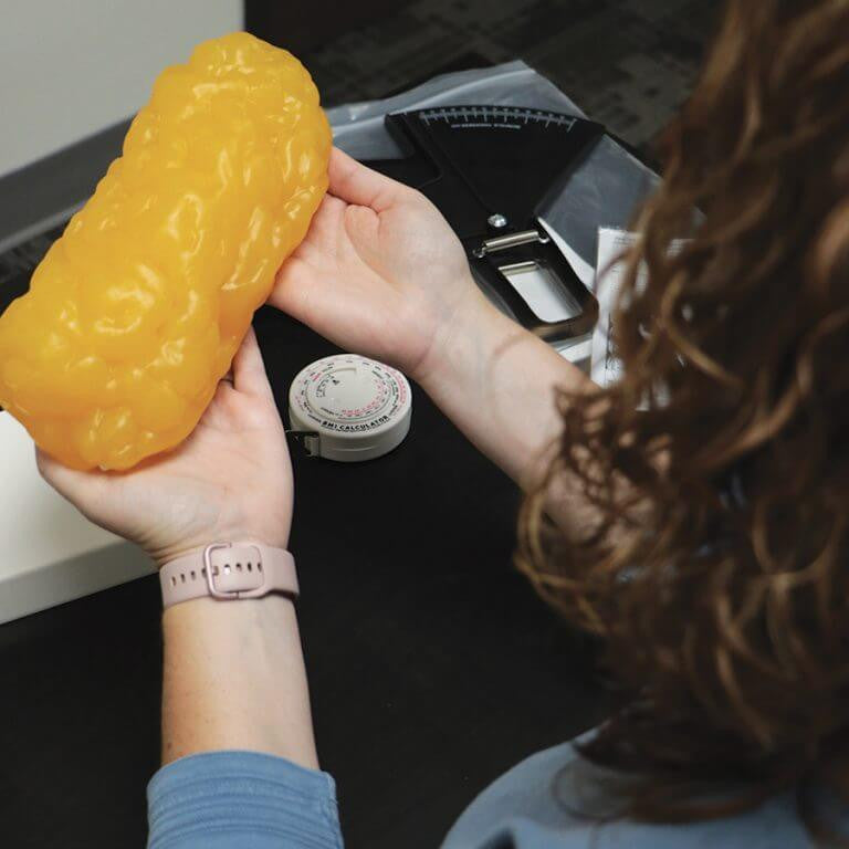 2lb fat model from the Sports Nutrition Lab Kit