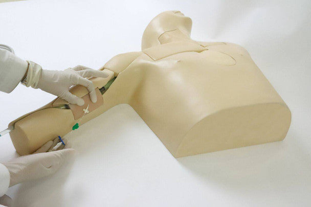 Peripherally Inserted Central Catheter (PICC) Ultrasound Training Model