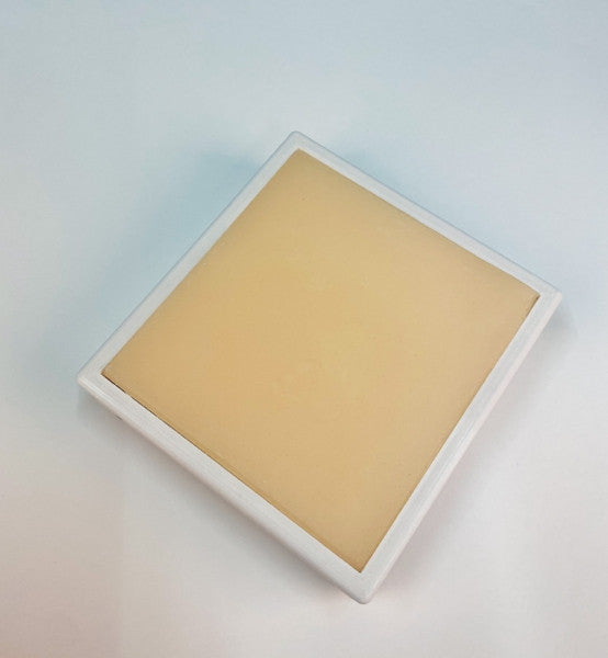 IM Puncture Trainer - Small Animal