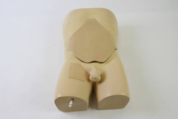 Femoral Arteriovenous Puncture and Abdominocentesis Ultrasound Training Model