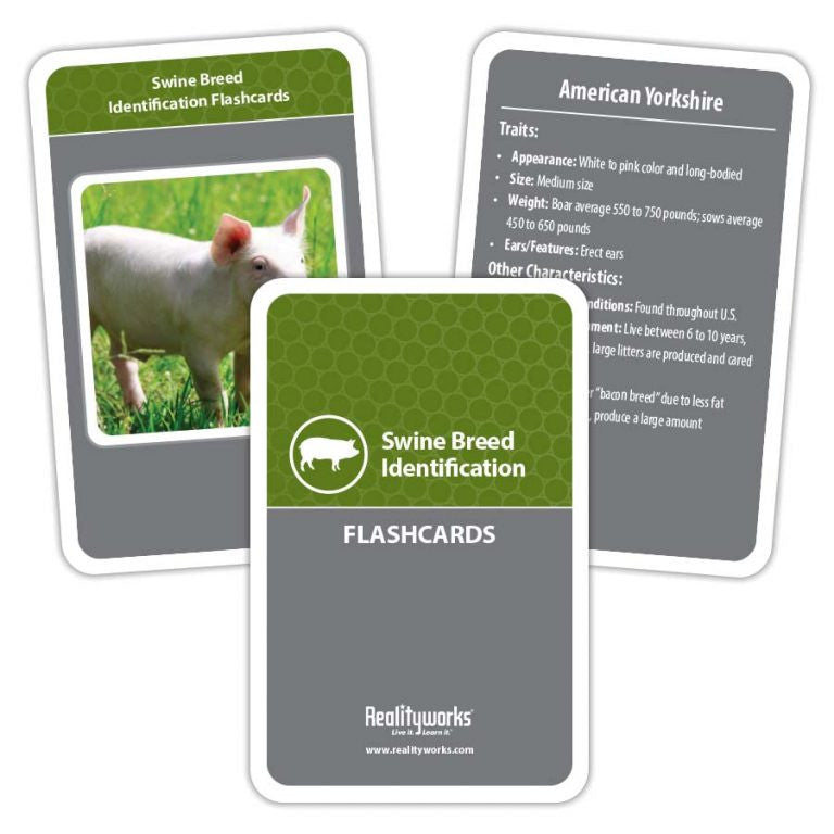 Agriculture Animal Education Kit - Swine