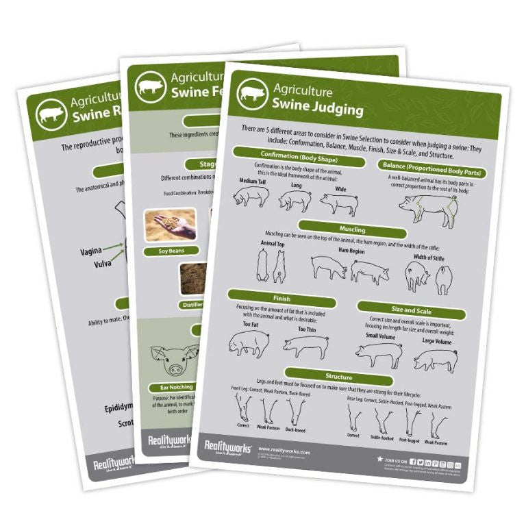 Agriculture Animal Education Kit - Swine