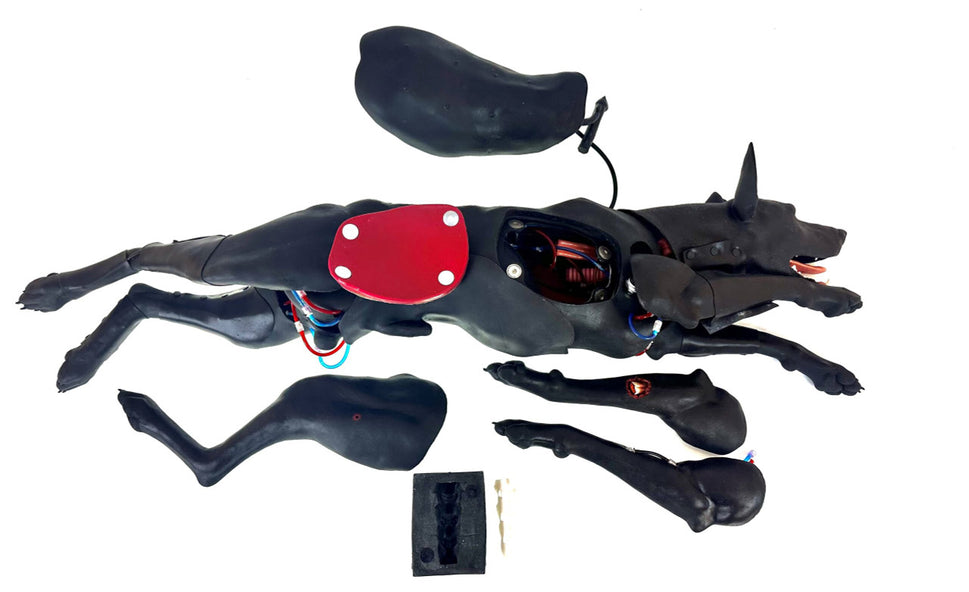 SynDaver Modular Canine