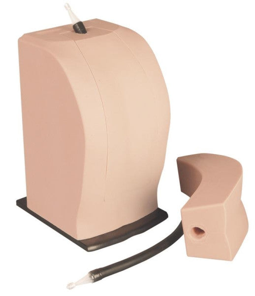 THORAXIS Thoracic Neuraxial Simulator